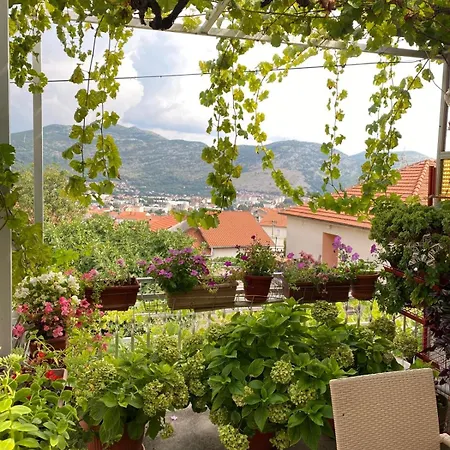 Boskovic Apartment